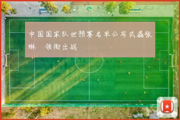 中国国家队世预赛名单公布武磊张琳芃领衔出战